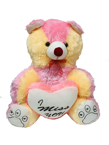 I Miss U Teddy